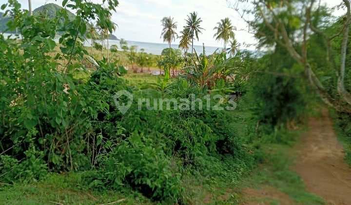 Tanah murah 2000 m2 SHM selong belanak lombok barat