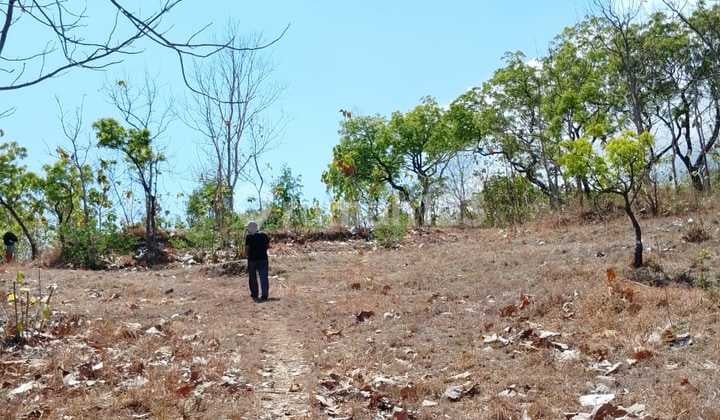 Tanah Bali View Laut Bukit di Singaraja 5000.0 M² SHM