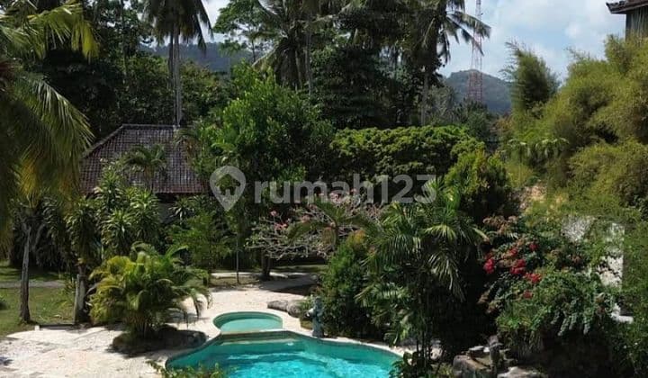 Hotel Murah Bintang 3 Di Pujut Lombok Dekat Mandalika