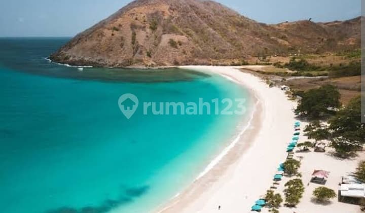 Cheap Land Lombok 82 Acres Mawun Beach Suitable For Your Business