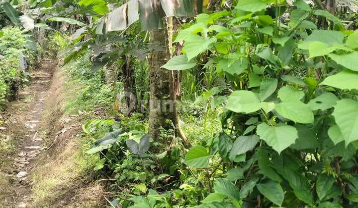Cheap Land in Gianyar 2460.0 M² SHM Suitable for Your Business