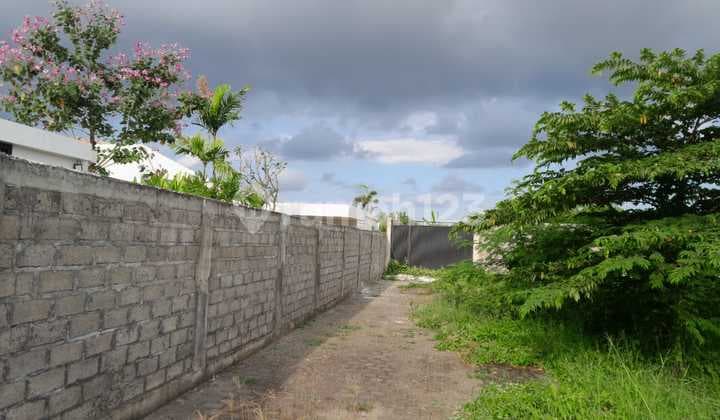 Tanah Murah di Canggu 354 M² SHM Cocok untuk Bisnis Anda
