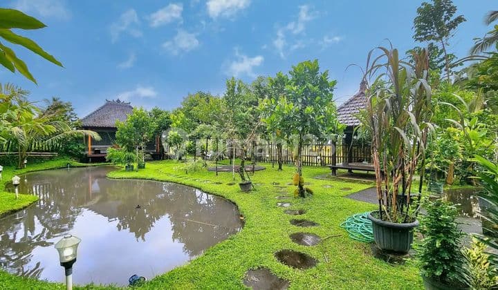 Villa Mewah 36 Are Di Tabanan Shm Cocok Untuk Bisnis Anda