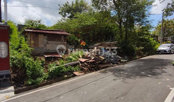 Cheap Land 3 Are Cargo North Denpasar Suitable for Your Business