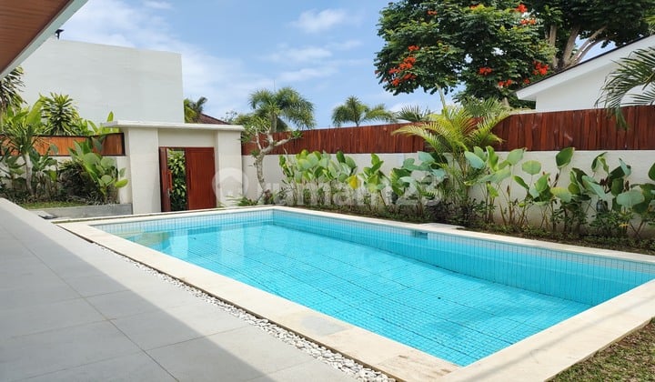 Semi Villa Sublease House New Furnished Rental SHM - Freehold Certificate in Pererenan