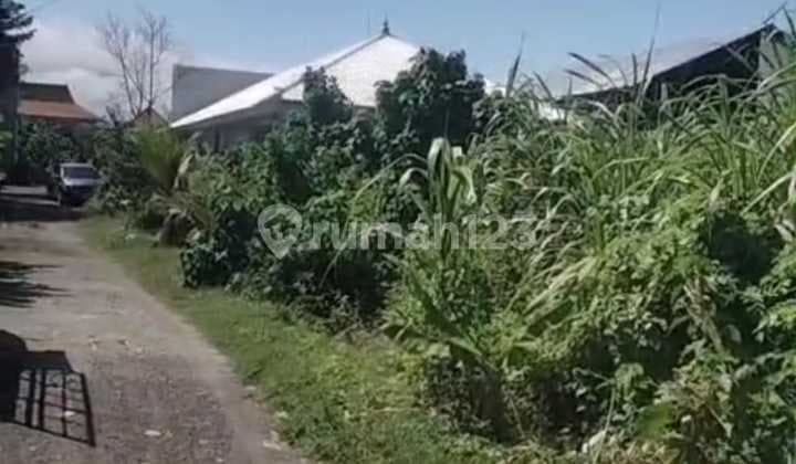 Tanah Sewa Murah di Renon SHM 750 M²