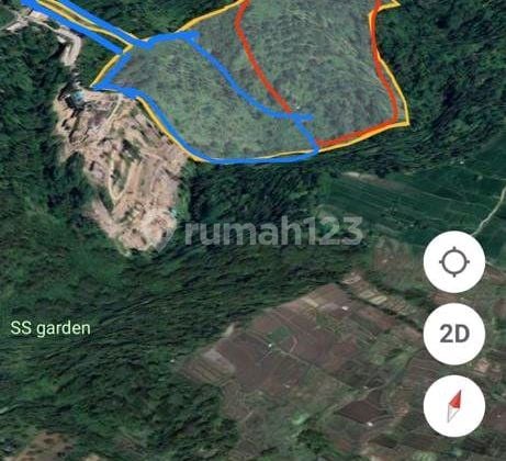 Cheap Land in Ubud 7 Hectares Suitable for Your Business