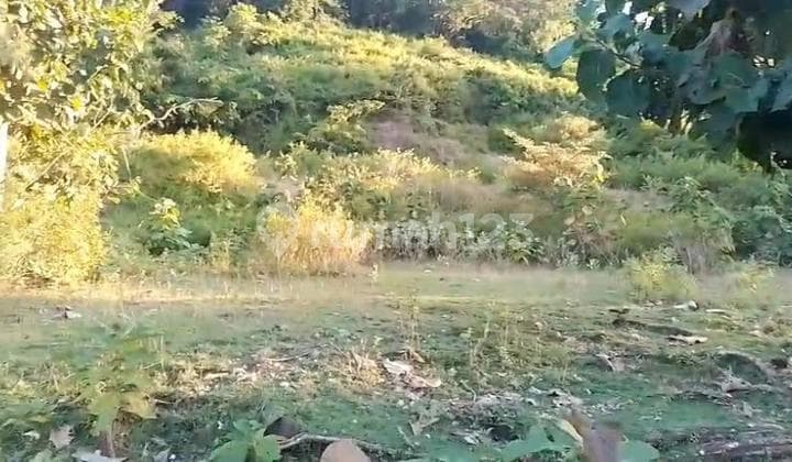 Tanah Murah Lombok 75 Are Dekat Artati Restaurant Cocok Untuk Bisnis Anda