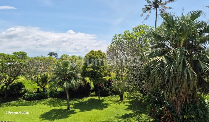 For Sale - 16.6 Are Land With House & Swimming Pool - Bona, Gianyar