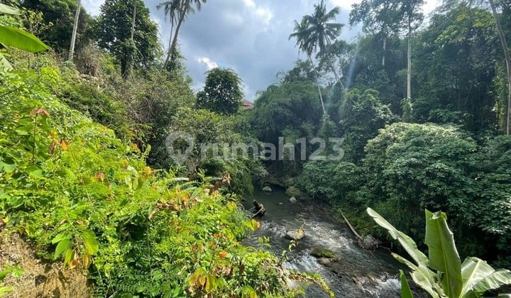 SUPER PREMIUM!! 40 Are LOS RIVER on MAIN STREET CENTRAL UBUD
