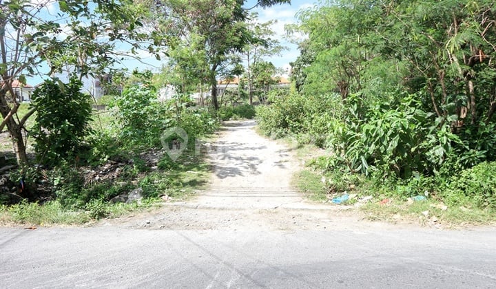 Beautiful 9.33 Are Location Suitable for Project Plot in Seminyak