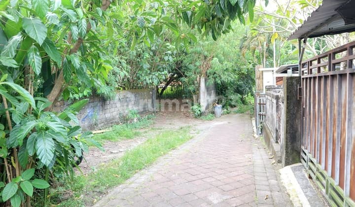 Langka!! Kavling Kecil 2 Are Umalas 1 Dekat French School & Petitenget