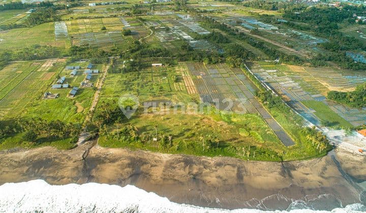 Dekat Project Potato Head!! Kavling Cantik Hanya 300 Meter Dr Pantai, dan Dkt Tanah Lot