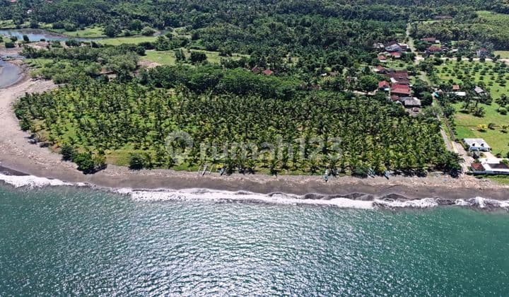LOS PANTAI 2,57 Hektar PANTAI MELAYA, NUSASARI, JEMBRANA