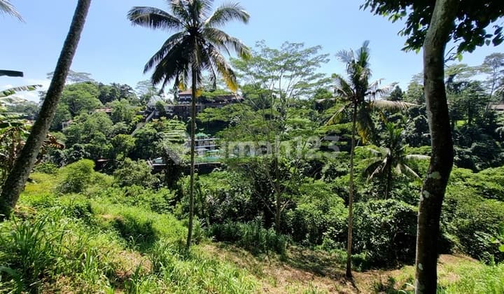 VIEW SUNGAI & HUTAN!! Tanah 29,36 Are Keliki, 20 Mnt ke SENTRAL