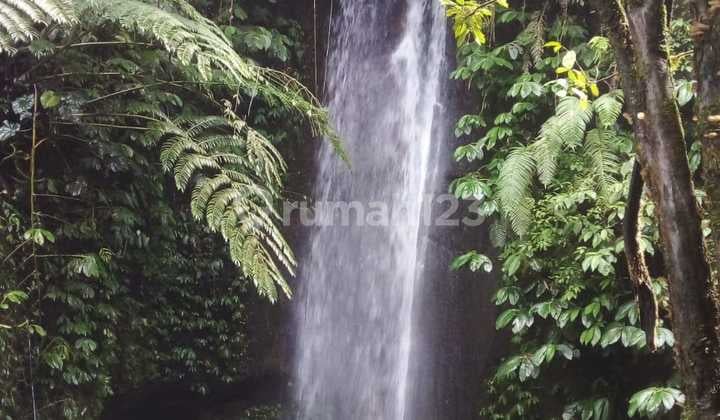 VIEW WATERFALL!! 1 Hectare Land with Main Road Access in Munduk, Buleleng