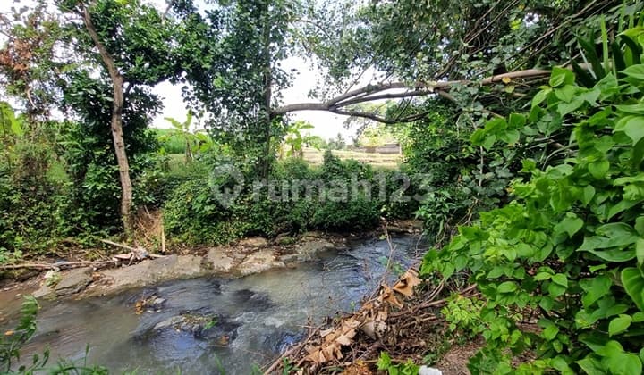 LOS SUNGAI!! Tanah 13,75 Are VIEW SAWAH di BEACHSIDE Pererenan