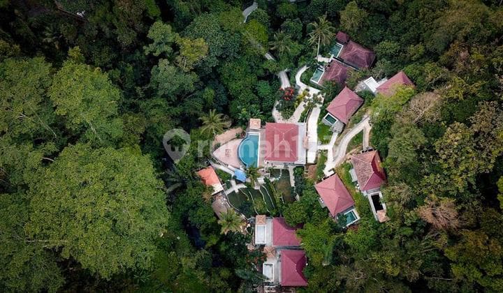 THE CLIFFS AND RIVER!! Resort 8 Villa Units in Tegallalang Ubud