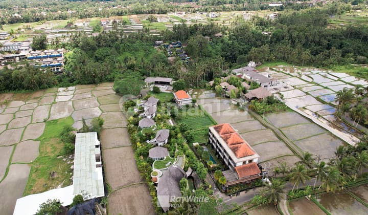 Tanah Kavling Kawasan Villa View Persawahan Di Ubud Gianyar, Bali