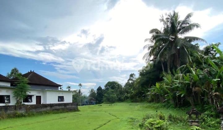Tanah 35 Are di Salamadeg, Tabanan Dijual
