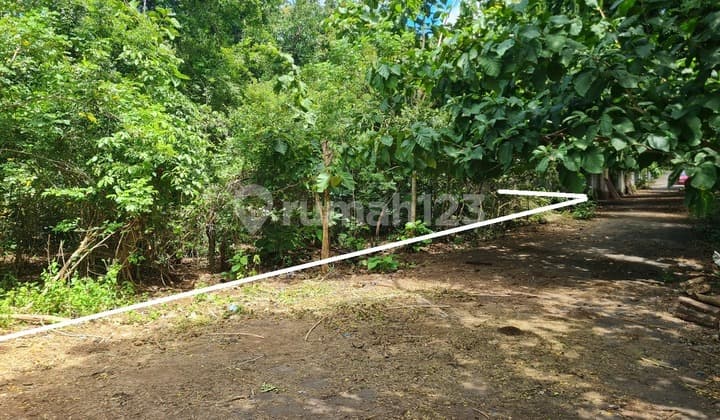 DIJUAL TANAH 50 ARE DI PECATU