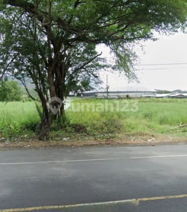 Tanah Siap Bangun Strategis di Gondoharum Kudus A5499
