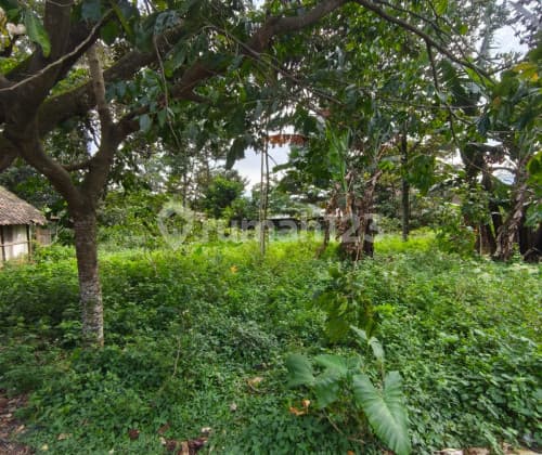 Tanah Siap Bangun Murah di Ungaran Timur A5336
