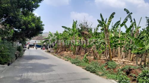 Tanah Murah Siap Bangun Strategis di Ngaliyan A5397