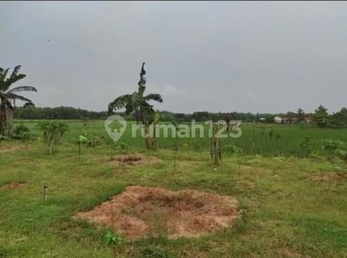 Tanah Luas Strategis Siap Bangun di Purwodadi A5208