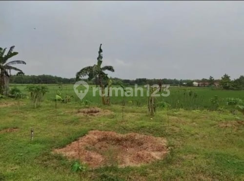 Tanah Luas Strategis Siap Bangun di Purwodadi A5208