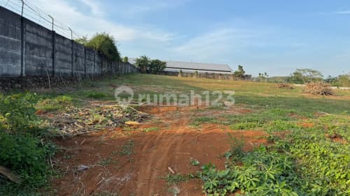 Tanah Luas Murah Siap Bangun di Mlonggo Jepara A5180