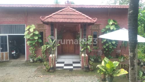 Rumah Murah Bagus Di Mulyoharjo Jepara A4639