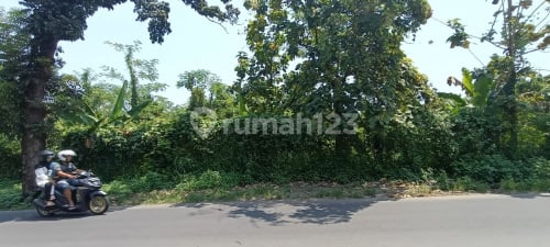 Tanah Siap Bangun Strategis di Ngaliyan A5483