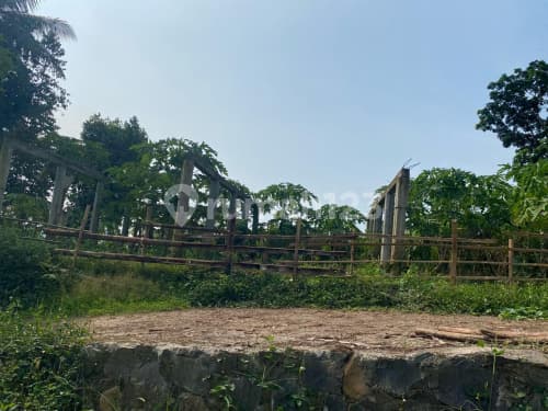 Tanah Murah Luas Siap Bangun Di Tersono Batang A4538