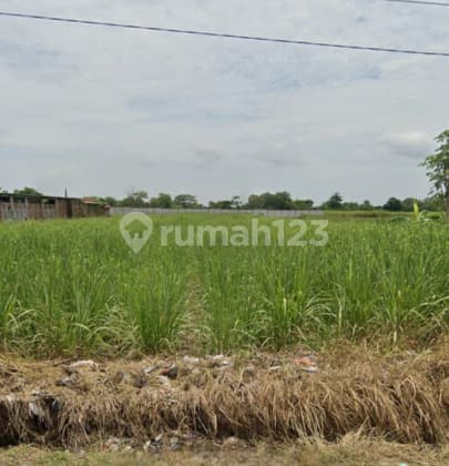 Tanah Luas Murah Strategis di Gondoharum Kudus A5498