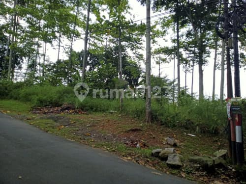 Ready-to-Build Land Along the Road in Pudak Payung A5584