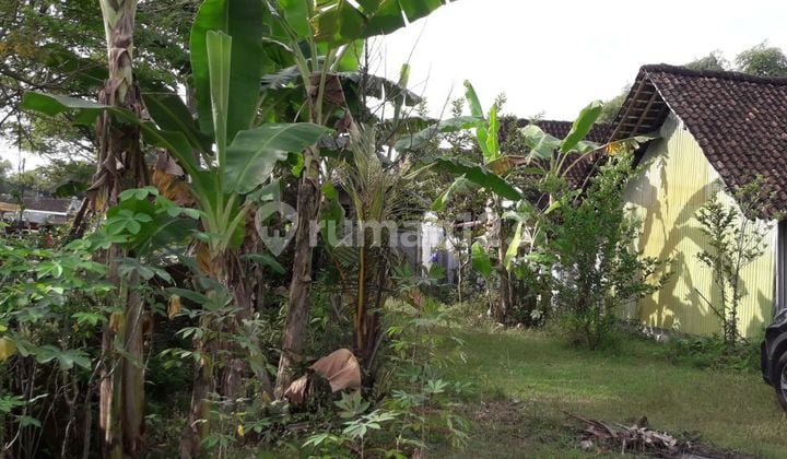 Dijual Tanah Sembung Karangjati Ngawi