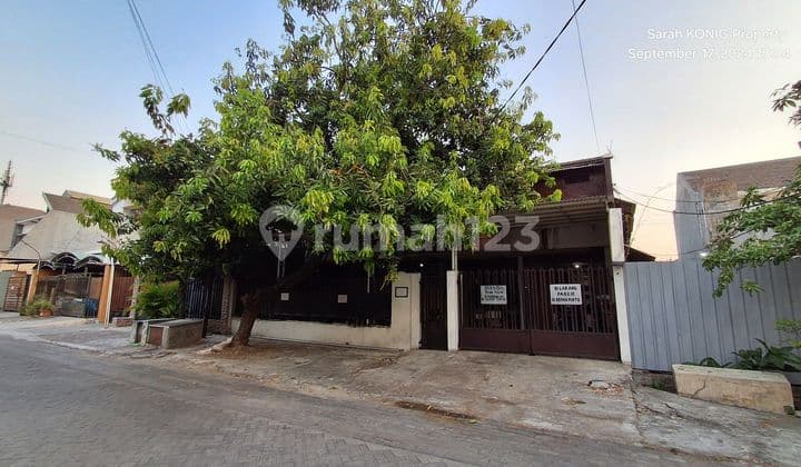 Dukuh Kupang. Rumah Kost, Pasif Income. Bagus. Penuh