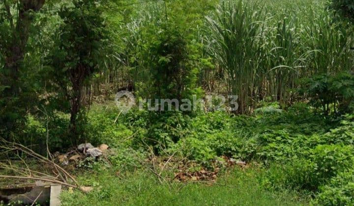 Bangsal Mojokerto Industrial Land, Zero Road Access