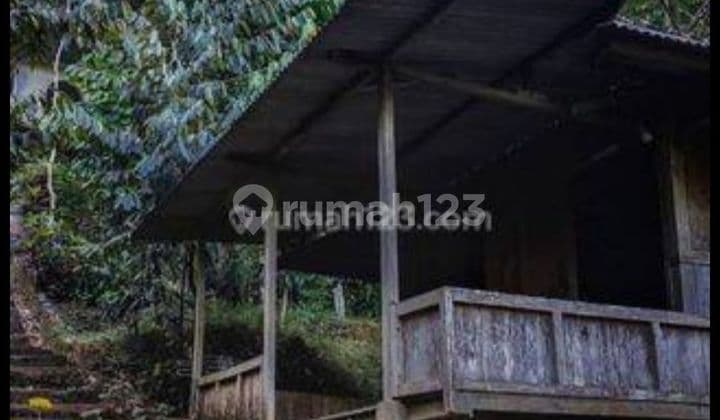 Perkebunan Karet, Tulung Agung, Murah, Hak Pakai