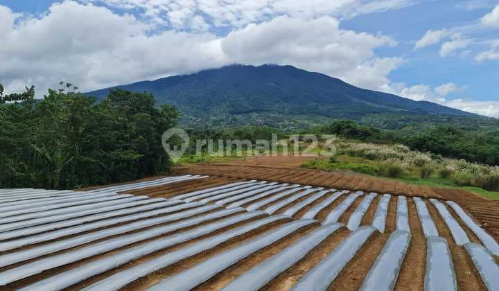 Dijual Lahan Tanah Daerah Cicurug Sukabumi
