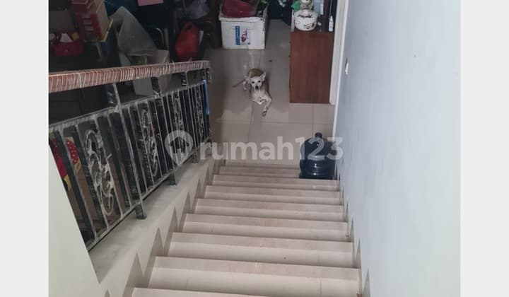 Wts Rumah Lebar 9 Cluster Flamingo The Spring Gading Serpong, Tangerang