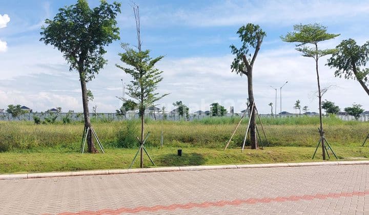 Brooklyn Commercial Plot Area 450 Meters