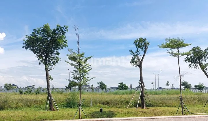 Kavling Komersil Brooklyn Luas Tanah 900 Meter Kavling Komersil Brooklyn Luas Tanah 900 Meter