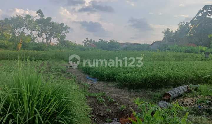 *dijual Tanah Teluk Naga**luas Tanah: 4.255m²**rp. 3,4jt/meter.bagi Yang Berminat Hubungi Saya Chen Lie Shien No Whatsap 0896xxxxxxxx.thanks