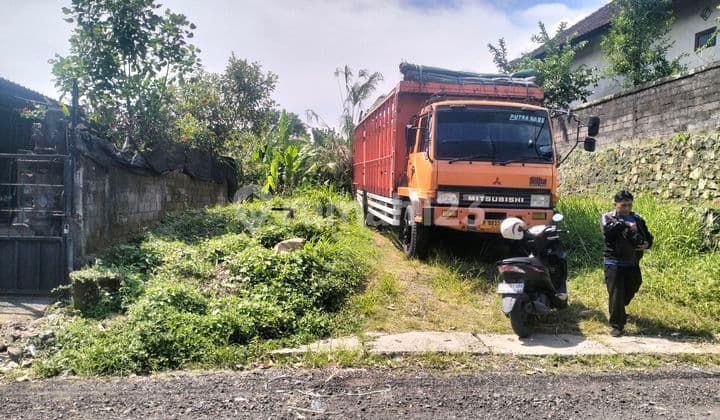 Tanah Murah Cocok untuk Perumahan