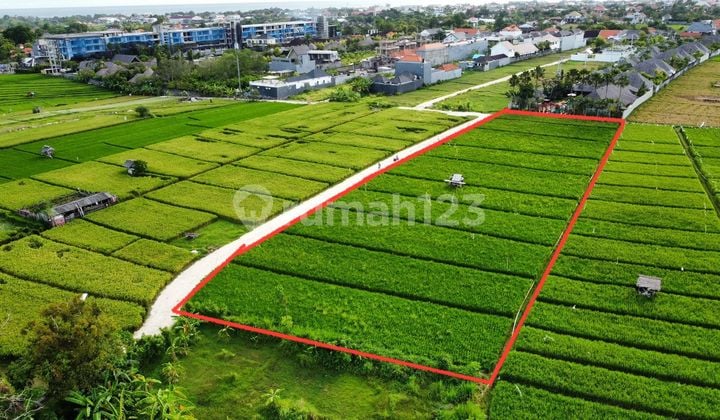 Tanah murah canggu Badung