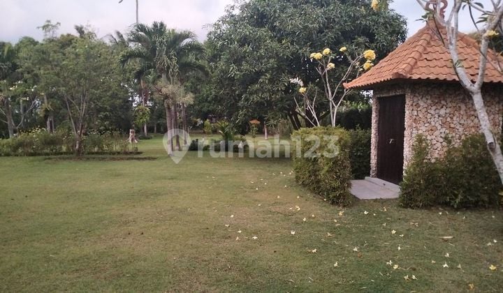 Villa cantik view sawah Pantai Pering Blahbatuh Gianyar Villa