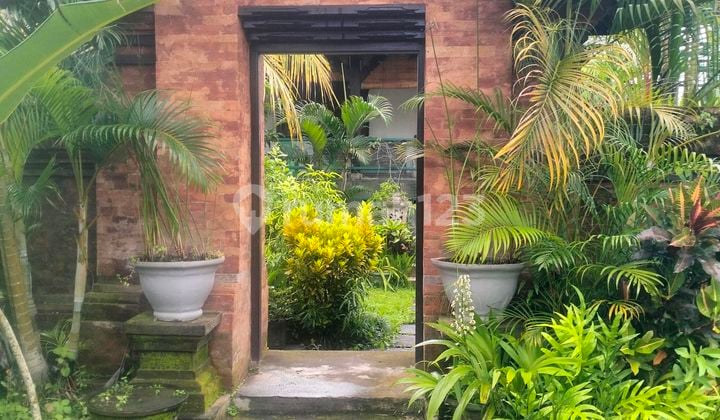 Villa Murah Suasana Pedesaan