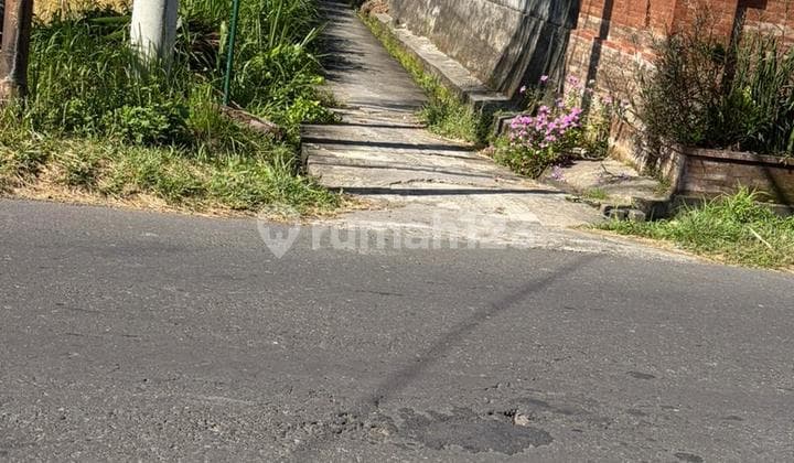 Tanah Murah 125M2 Pantai Saba Blahbatuh